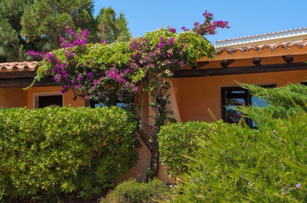 hotel-ollastu-olbia-sardegna-camera-confort22